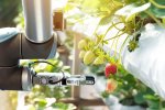 TheFork & NellyRody présentent les grandes tendances food de l'année 2022