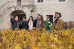 La School of Wine lance le MSc in Sustainable Wine Tourism & Gastronomy