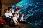 L'Atlantis Dubaï célèbre les 1 an du projet Atlas à l'occasion de la Journée mondiale des océans