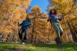 2,4 millions d'euros investis pour les campagnes de l'automne et hiver en région Sud 