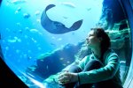 Atlantis Dubai célèbre les deux ans du projet Atlas