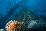 Novotel annonce un partenariat avec le WWF pour la protection des océans 