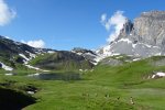 Révalogi et Fleurs et Neige, adhérents Capfrance, unissent leurs forces sur le territoire alpin