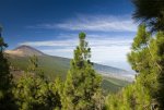 Tenerife : lancement de la nouvelle campagne d'image de marque et de stratégie touristique