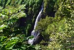 La Réunion détourne la fin des limites de déplacement et vous invite à partir en France cet été