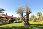 Le Domaine des Remparts, une parenthèse enchantée à Marrakech