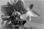 Exposition photos de Roberto Patella au Gallery Hotel Art de Florence