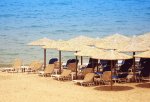 La digitalisation des plages françaises se développe : d'ici cinq ans, 50% des gérants de plages disposeront d'un logiciel de gestion et 40% gèreront des réservations en ligne