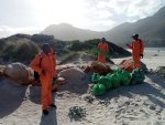 Le Groupe Centaurus et Invest For Future Unissent leurs Forces pour la Protection de la Biodiversité et la Réduction des Gaz à Effet de Serre 