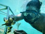 L'Anantara Iko Mauritius Resort & Villas lance son initiative de conservation «<small class="fine d-inline"> </small>Be Iko<small class="fine d-inline"> </small>»
