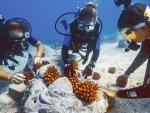 Les femmes de Jumeirah Thanda Island mises à l'honneur lors de la Journée Internationale des Droits des Femmes
