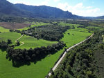 Destination Vallée de L'Ortolo : un modèle unique et vertueux en Corse