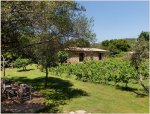 Corse-du-Sud : Le Domaine Pozzo di Mastri Inaugure ses quatre bergeries restaurées
