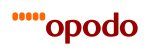 Baromètre Opodo 2023 réalisé par le Cabinet Raffour Interactif