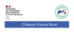 Opinion : Pourquoi le chèque numérique est-il un échec