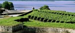 Vignobles Blaye Côtes de Bordeaux : 28% des surfaces de l'appellation en bio ou en conversion
