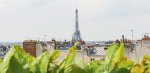 Le Jardin de Cheval Blanc Paris sera de retour dès le premier juin