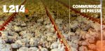 Élevage des poulets : McDonald's dans le flop 3 du classement de L214