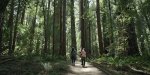 La Californie confirme son attachement au tourisme responsable