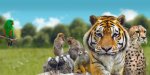 Les Parcs zoologiques de Lumigny font peau neuve