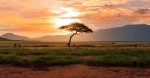 Kasada conclut un partenariat stratégique avec la Société financière internationale IFC pour soutenir le secteur hôtelier en Afrique