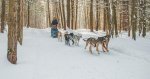Alentour dévoile les activités phares et destinations privilégiées pour les vacances d'hiver