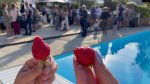 Brit Hotel fête les 10 ans de son label «<small class="fine d-inline"> </small>Producteurs Locaux<small class="fine d-inline"> </small>»