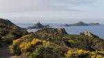 Iles Sanguinaires - pointe de la Parata : le label «<small class="fine d-inline"> </small>Grand Site de France<small class="fine d-inline"> </small>» renouvelé 