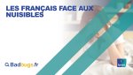 Etude Badbugs[.]fr-Ipsos : Punaises de lit, cafards... 62% des Français ont été confrontés à des nuisibles dans les 5 dernières années