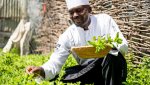 Kempinski Hotels publie son premier rapport environnemental, social et de gouvernance (RSE)