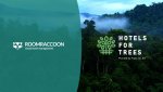 RoomRaccoon annonce un partenariat avec Hotels for Trees