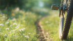 Lancement de la campagne de sensibilisation «<small class="fine d-inline"> </small>En voyage marquons les esprits, pas la planète<small class="fine d-inline"> </small>»