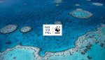 Préservation des océans : Novotel fête le premier anniversaire de son partenariat avec le WWF