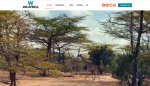 Wa Africa : le nouveau site voyage pour découvrir l'Afrique autrement