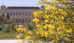 Le Muséum national d'Histoire naturelle est heureux de rouvrir ses musées, jardins, et zoos dès le 19 mai