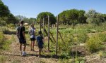 Le camping***** Les Sablons, premier camping permaculture d'Europe, continue sa transition durable