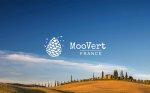 Moovert annonce un partenariat avec le Printemps Haussmann 