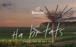 Ruinart ouvre le vignoble au public pour les Journées Particulières du 14 au 16 octobre 2022