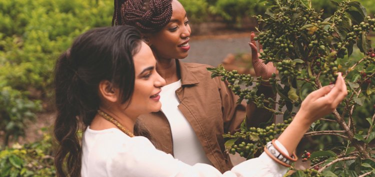 Accor lance son programme d'innovation durable afin de déployer des solutions permettant d'économiser les ressources à l'échelle de son réseau mondial 