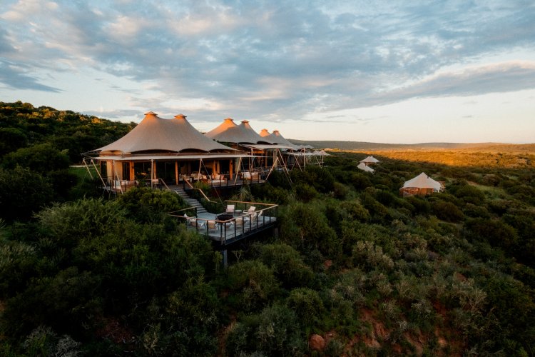 Shamwari Private Game Reserve rejoint la marque Rare Finds, filiale de Kerzner International