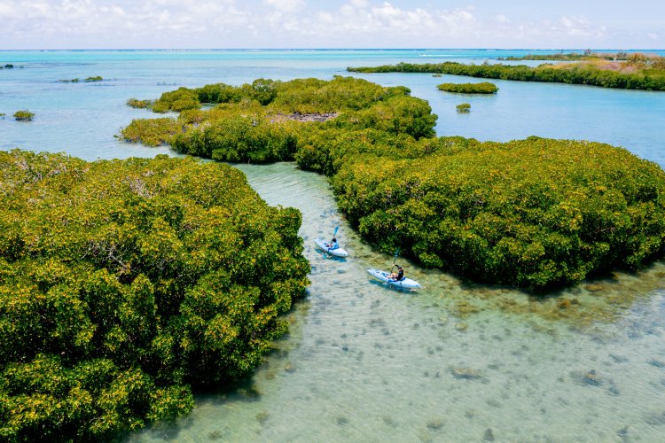 Le Four Seasons Resort Mauritius at Anahita renforce son engagement environnemental